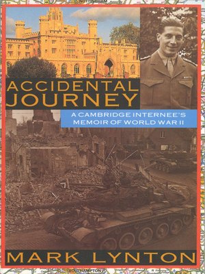 cover image of Accidental Journey
